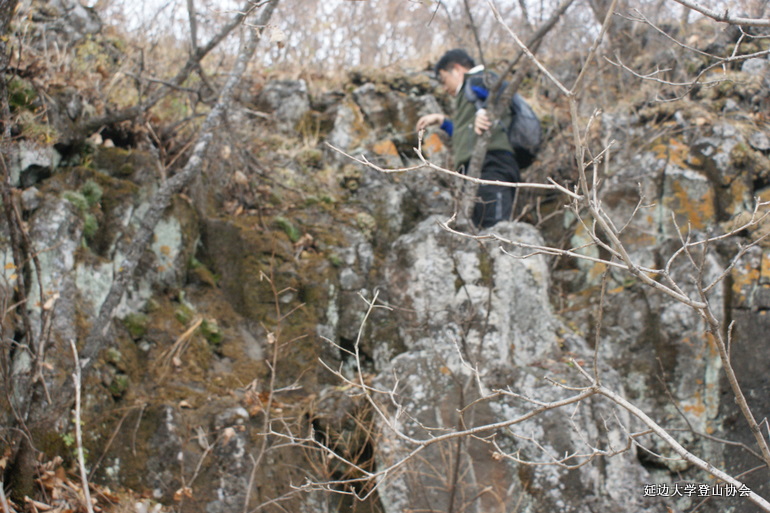 点击查看原图大小