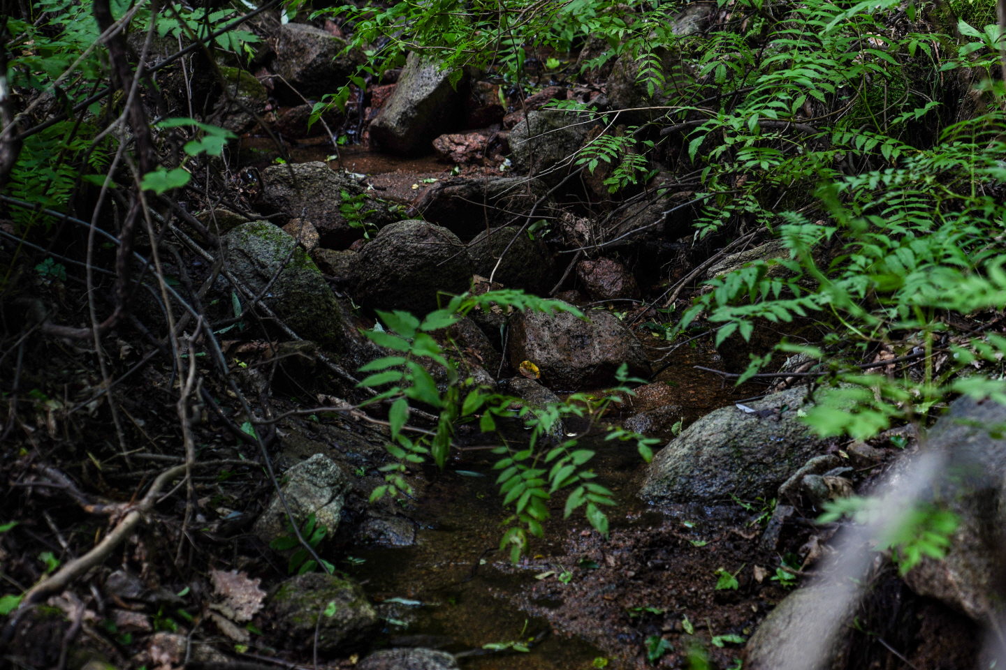 点击查看原图大小