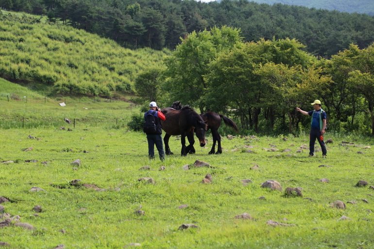 点击查看原图大小
