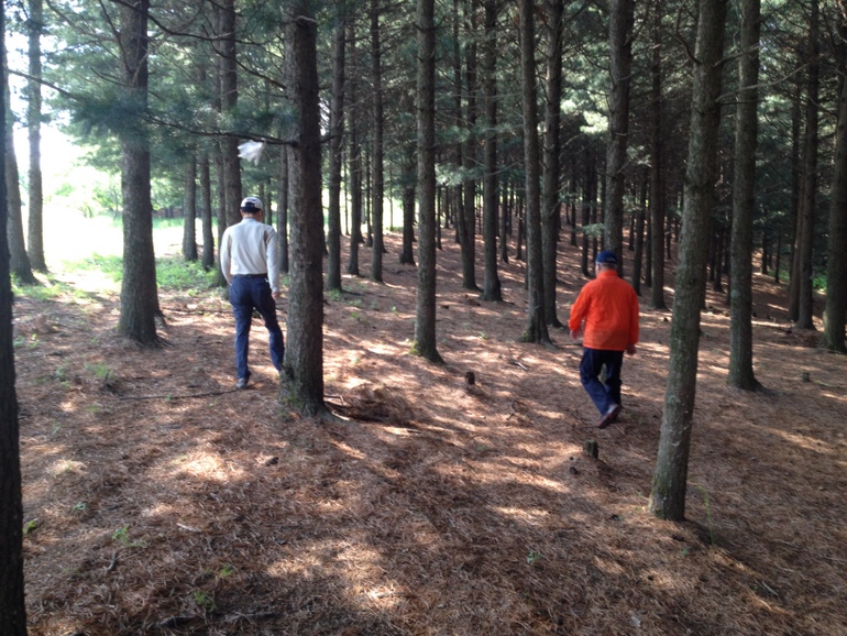 点击查看原图大小