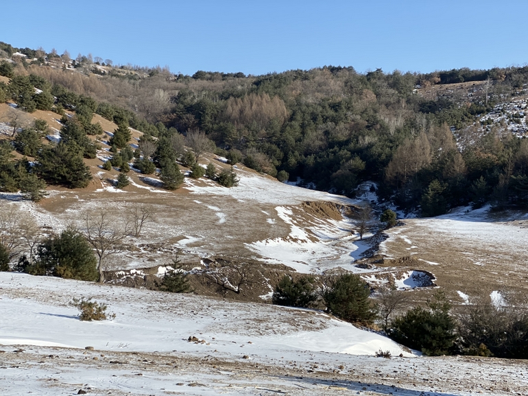 点击查看原图大小