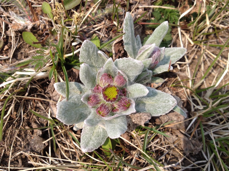 点击查看原图大小