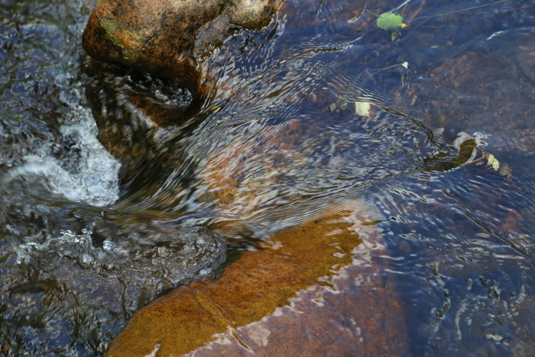 点击查看原图大小