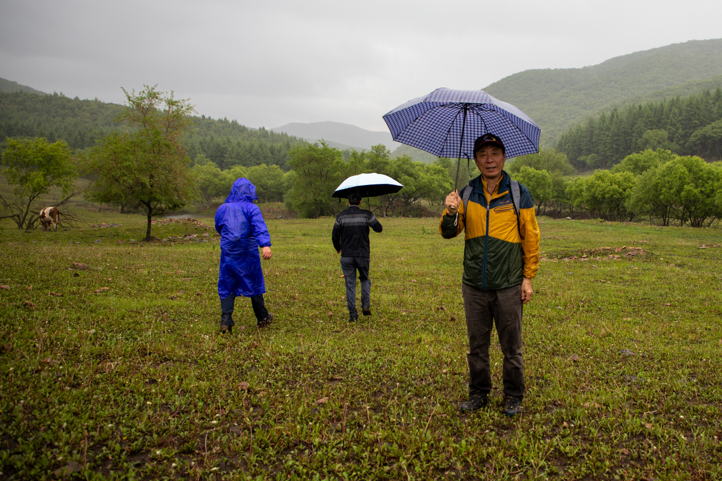 点击查看原图大小
