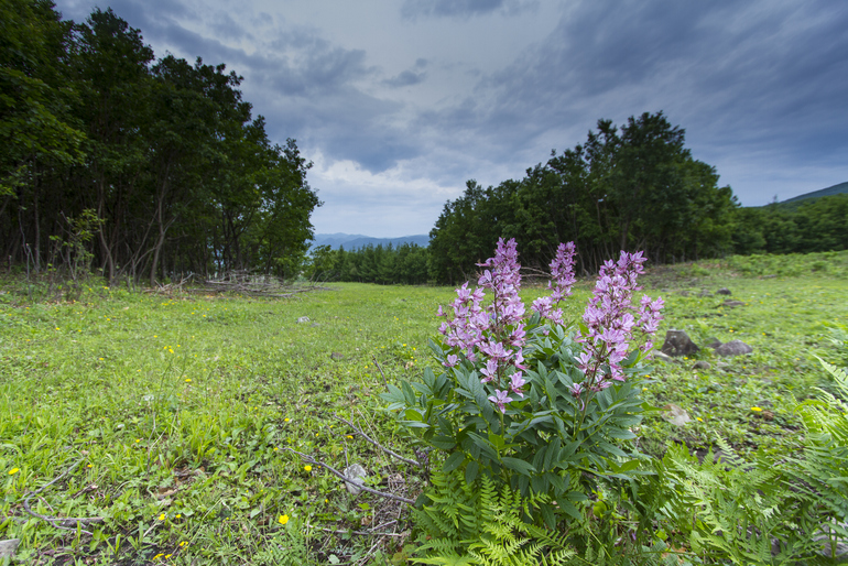 点击查看原图大小