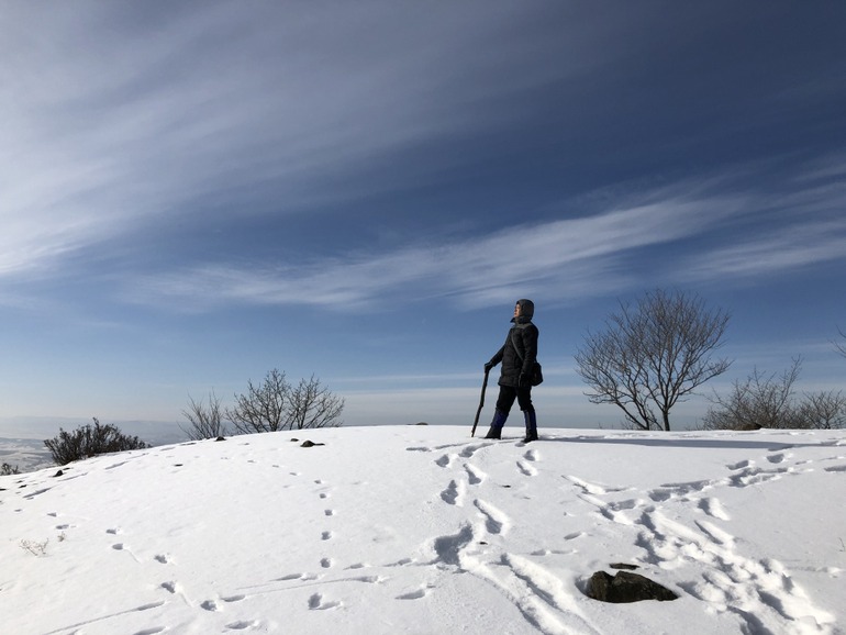 点击查看原图大小