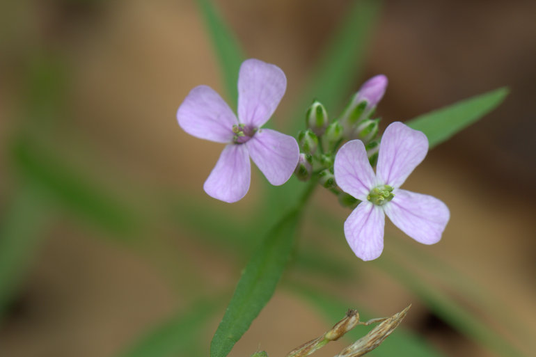 点击查看原图大小