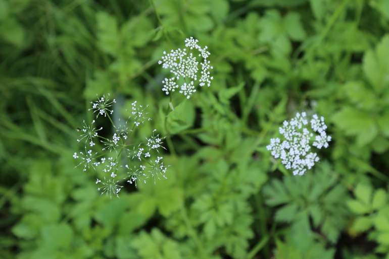 点击查看原图大小