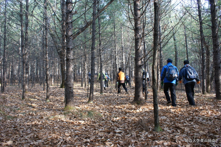 点击查看原图大小