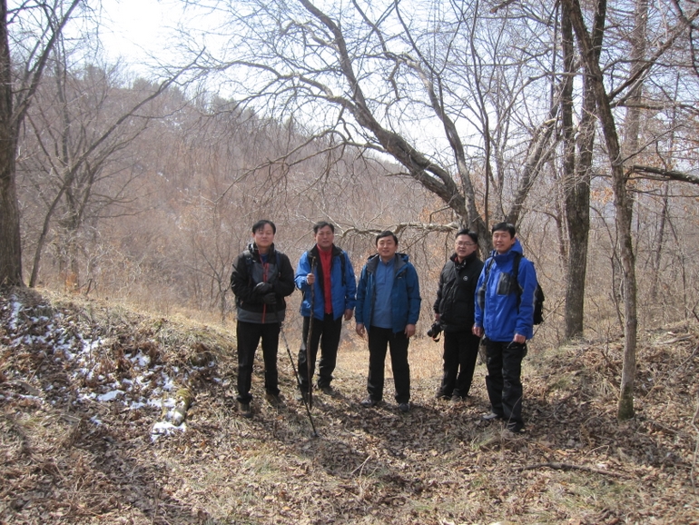 点击查看原图大小