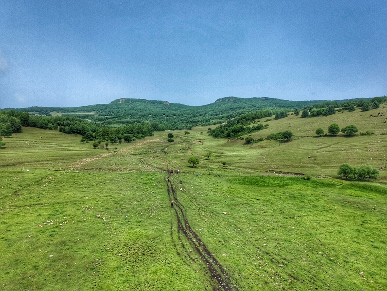 点击查看原图大小