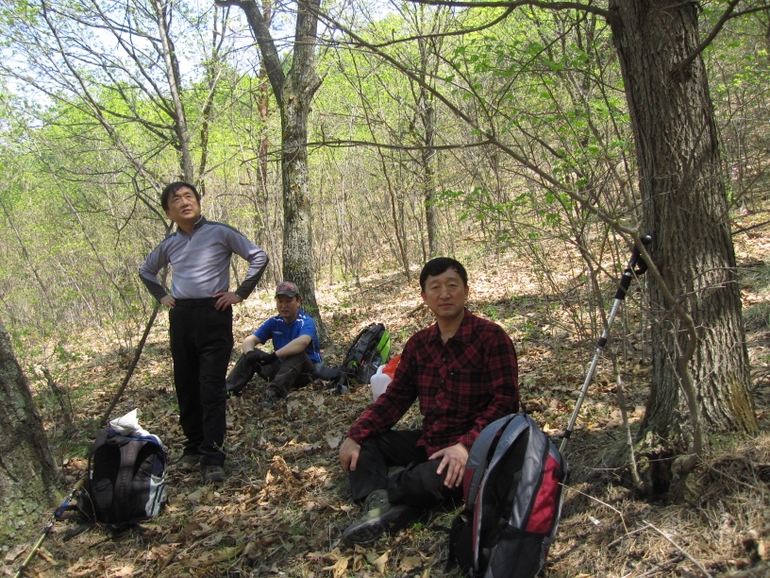 点击查看原图大小