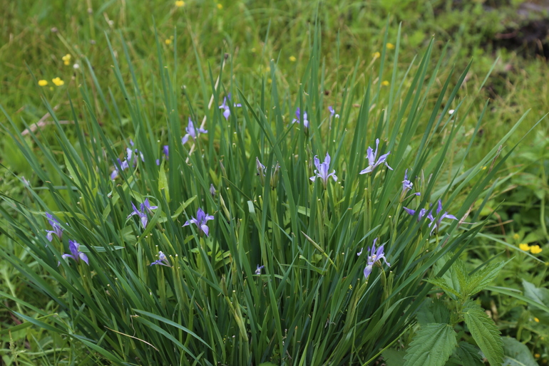 点击查看原图大小