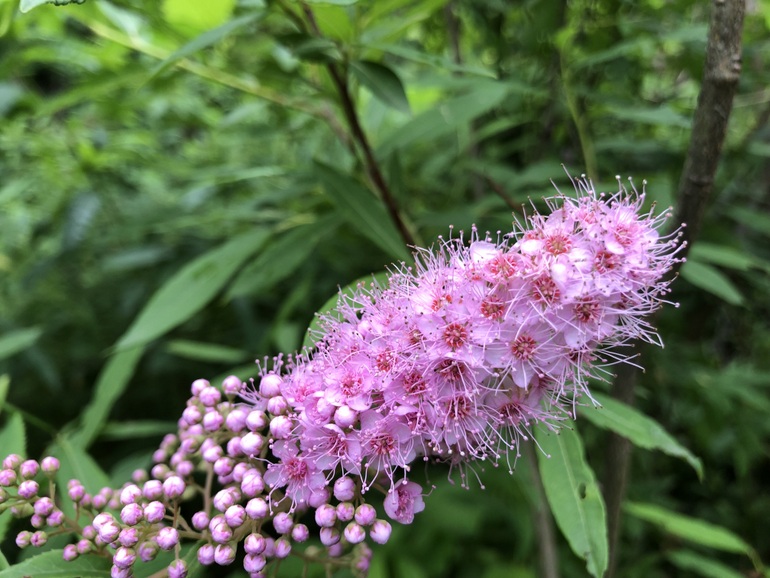 点击查看原图大小