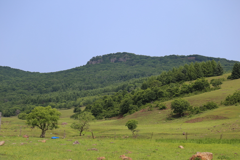 点击查看原图大小