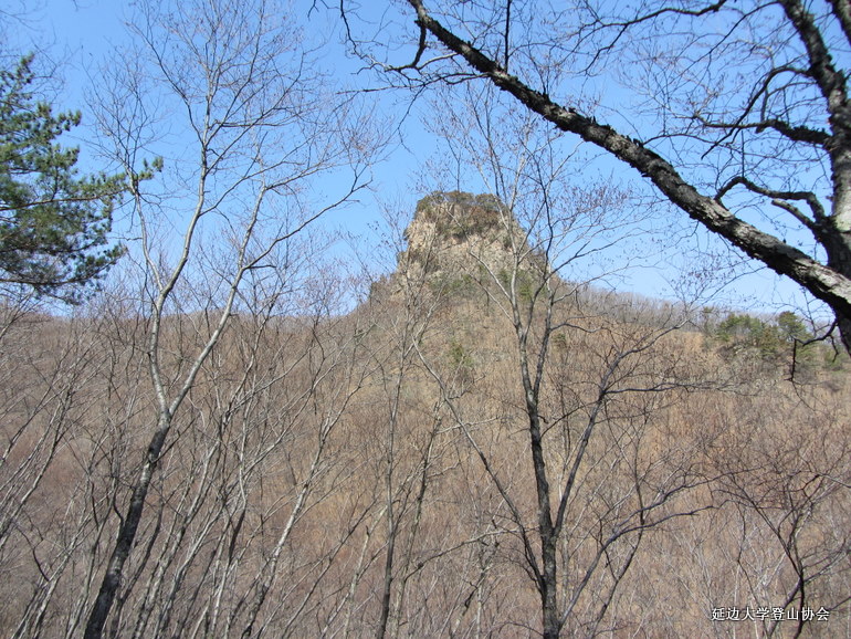 点击查看原图大小
