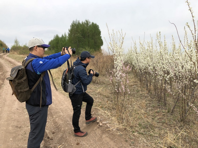 点击查看原图大小