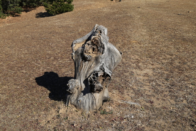 点击查看原图大小