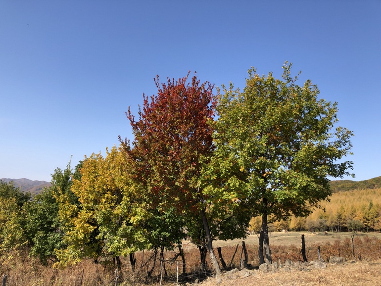 点击查看原图大小