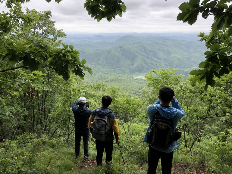 点击查看原图大小