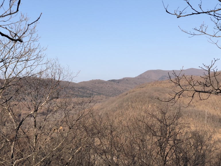 点击查看原图大小