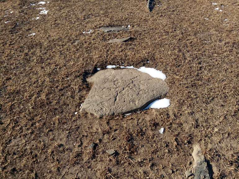 点击查看原图大小