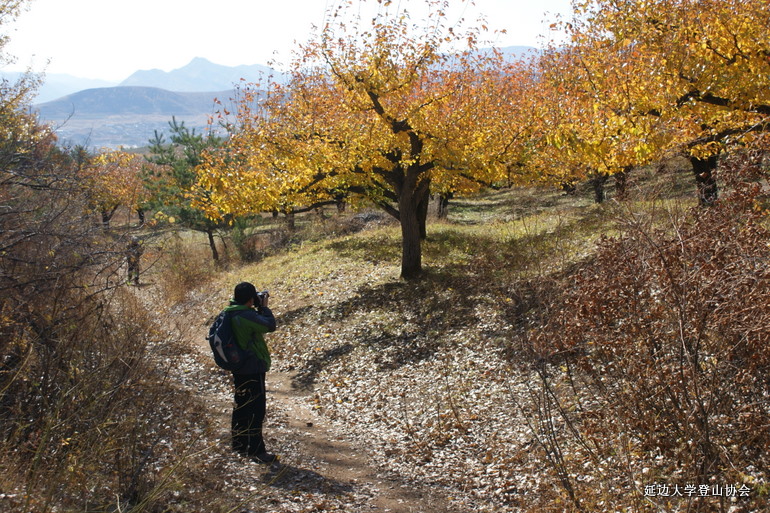 点击查看原图大小