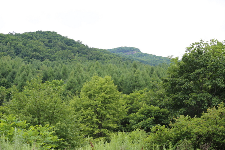 点击查看原图大小