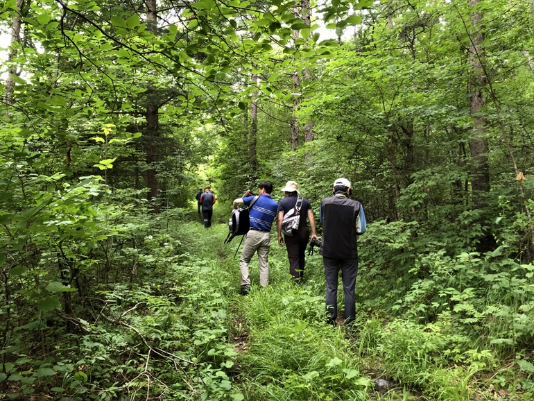 点击查看原图大小