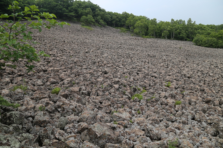 点击查看原图大小