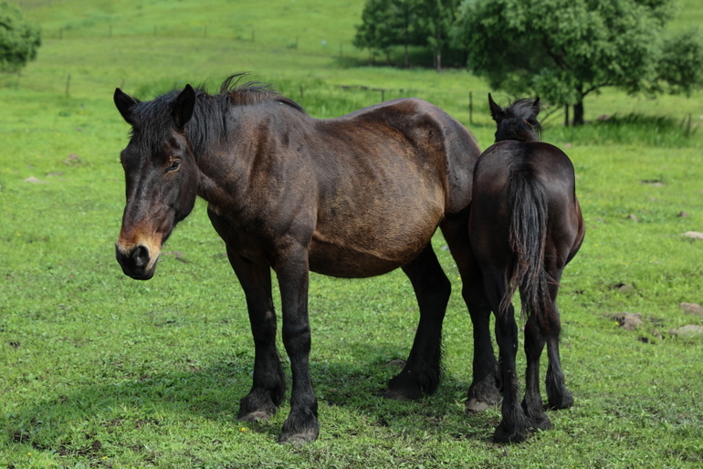 点击查看原图大小