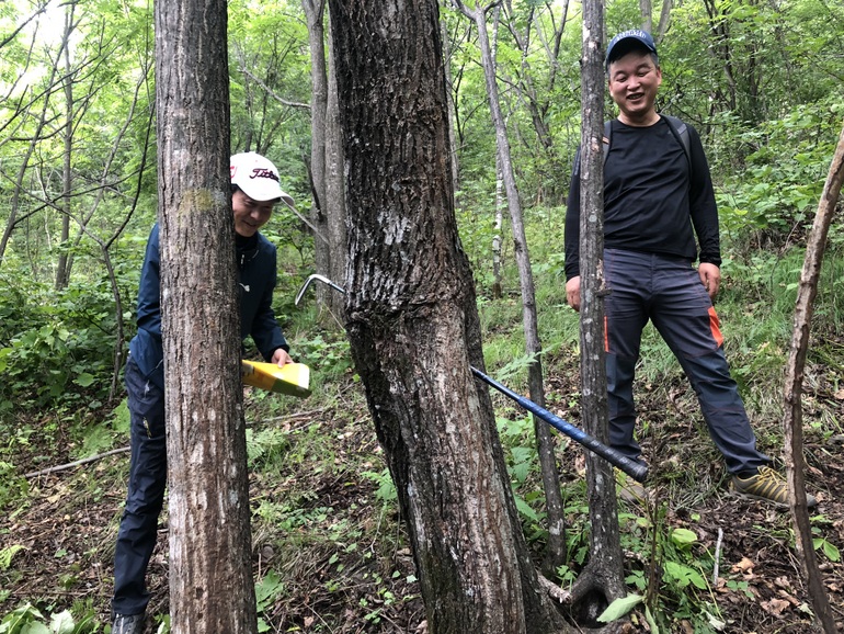 点击查看原图大小
