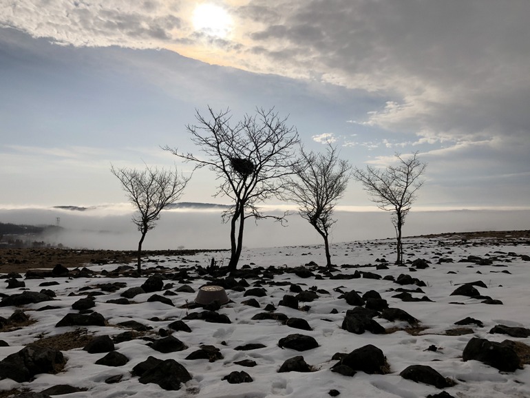 点击查看原图大小