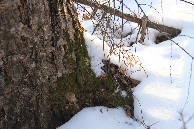 点击查看原图大小