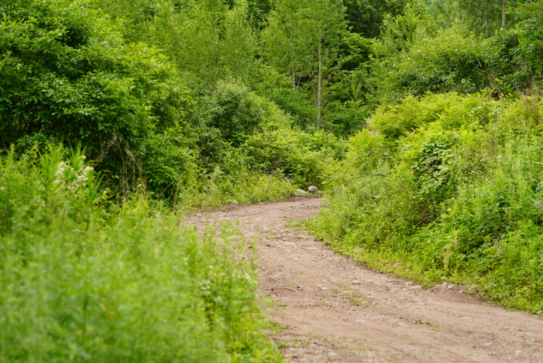点击查看原图大小