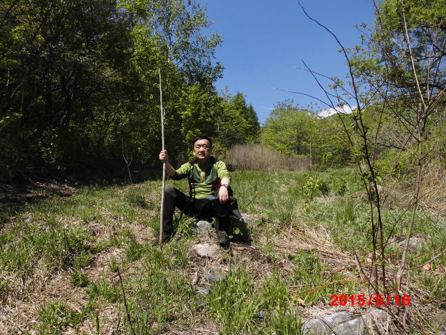 点击查看原图大小