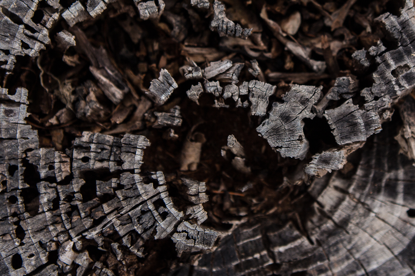 点击查看原图大小