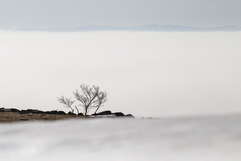 点击查看原图大小