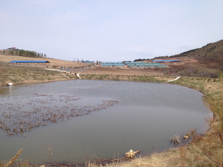 点击查看原图大小