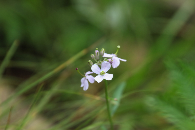 点击查看原图大小