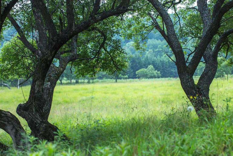 点击查看原图大小