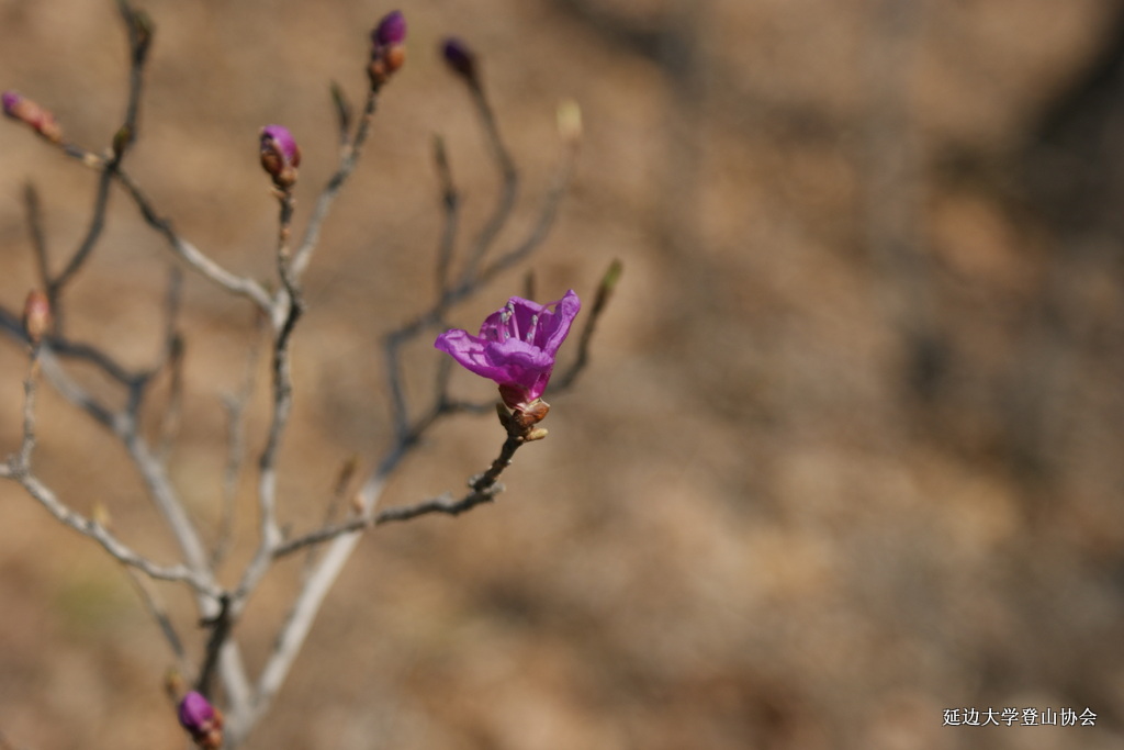 点击查看原图大小