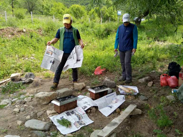 点击查看原图大小