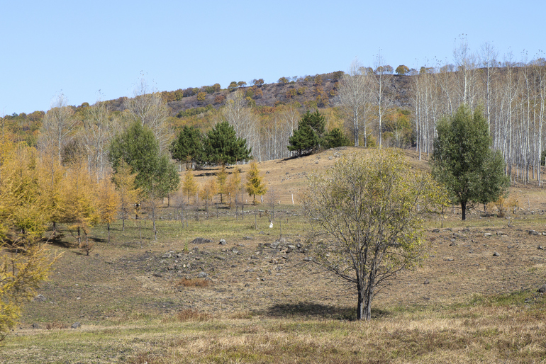点击查看原图大小
