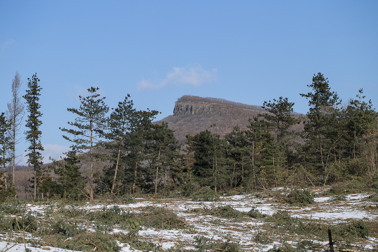 点击查看原图大小
