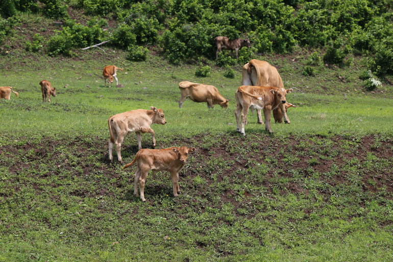 点击查看原图大小