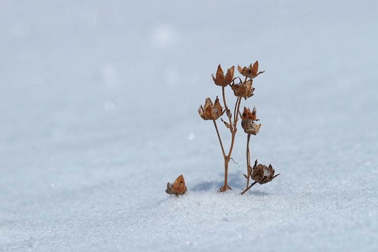 点击查看原图大小