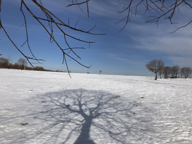 点击查看原图大小