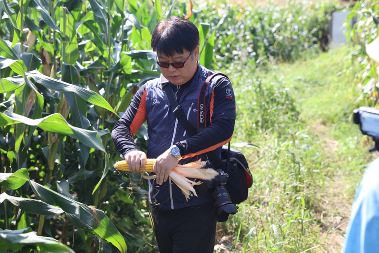 点击查看原图大小