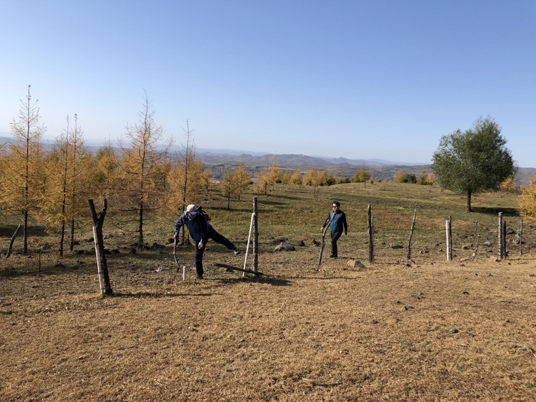 点击查看原图大小